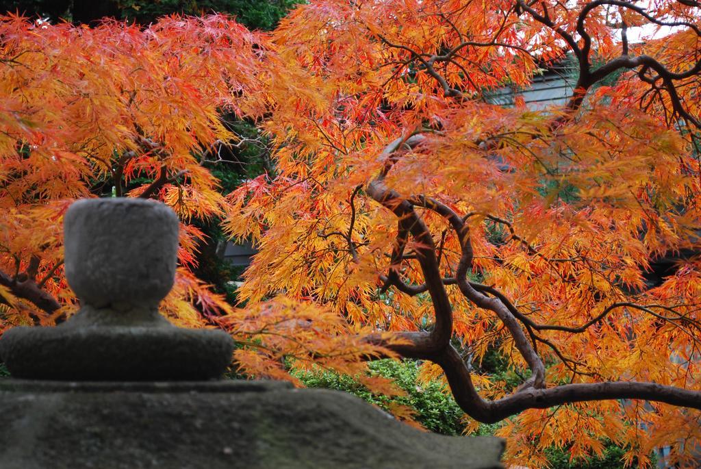 Hotel Nishiki-No-Yu Jimotoya Macumoto Exteriér fotografie